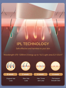 批发<span class=keywords><strong>IPL</strong></span>冷却脱毛装置，带手柄，用于身体面部嘴唇腋窝目标区域，可在英国欧盟美国插头类型