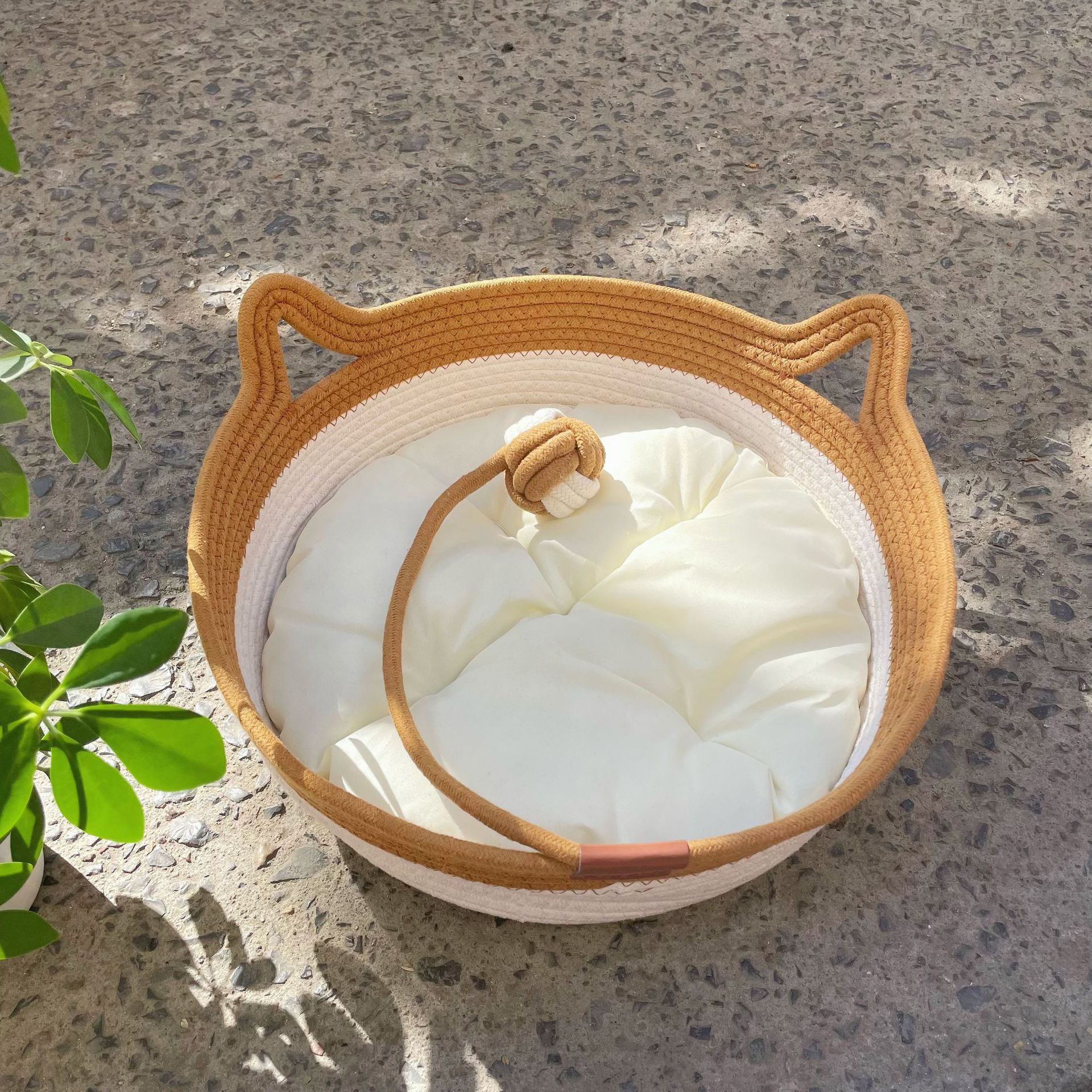 Nid de chat blanc + Tapis blanc