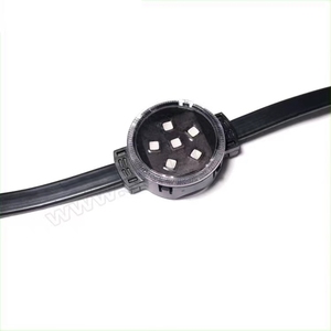 家DC24VRGBLEDポイントライトのための屋外防水IP68永久<span class=keywords><strong>LED</strong></span>クリスマスライト