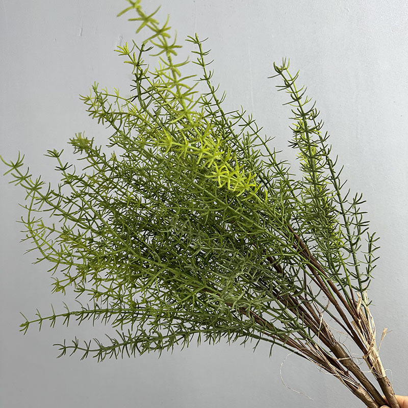 B13 feuille plante aquatique vert