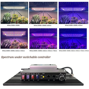 5 Channel Original Samsung LM301H Evo 240W <strong>Led</strong> Grow Light UV IR Independent Control Promotion Best Price Full Spectrum Grow <strong>Led</strong> - Product Image 2