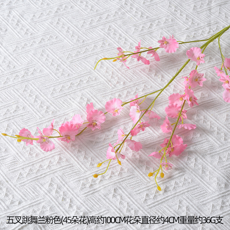 Orchidea danzante a cinque punte con fagioli gialli rosa