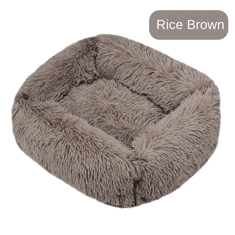 Rice Brown