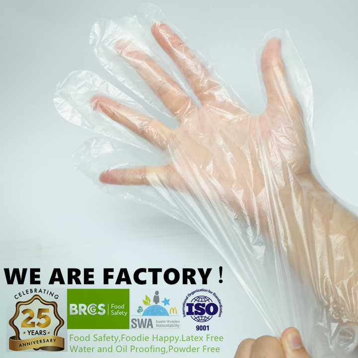 Disposable Poly Gloves Powder Free Multi-Purpose Polyethylene Gloves Suitable for Handling Frozen Food