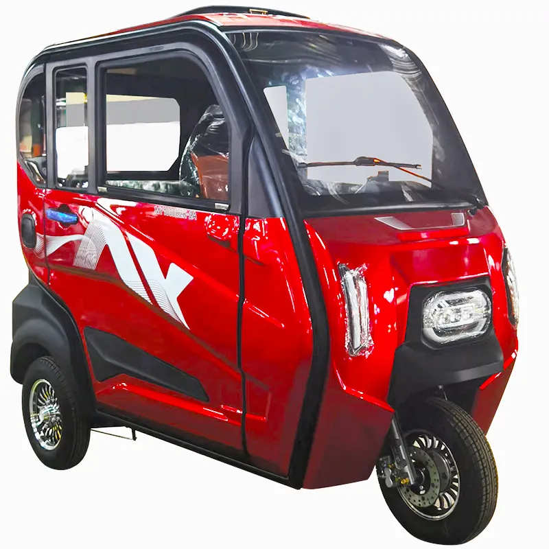 Minitype 3 chỗ ngồi hành khách mini Trike chất béo điện ba bánh với mái nhà 3 bánh xe điện 1000W động cơ 60V Đóng EEC maiba