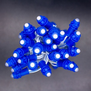 Di alta qualità colore singolo 9mm <span class=keywords><strong>LED</strong></span> stringa di luce DC 12V giardino <span class=keywords><strong>Pixel</strong></span> modulo