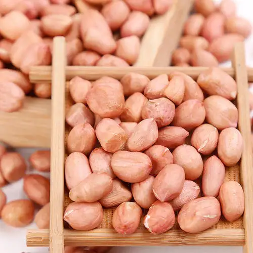 Guaranteed Quality Proper Price Raw Peanut Kernels Extra Large Fresh Bulk Organic Peanuts