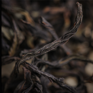 Premium Guangdong Fenghuang Dancong Chou Shi Dancong Oolong çay gelen Chao Shan Guangdong