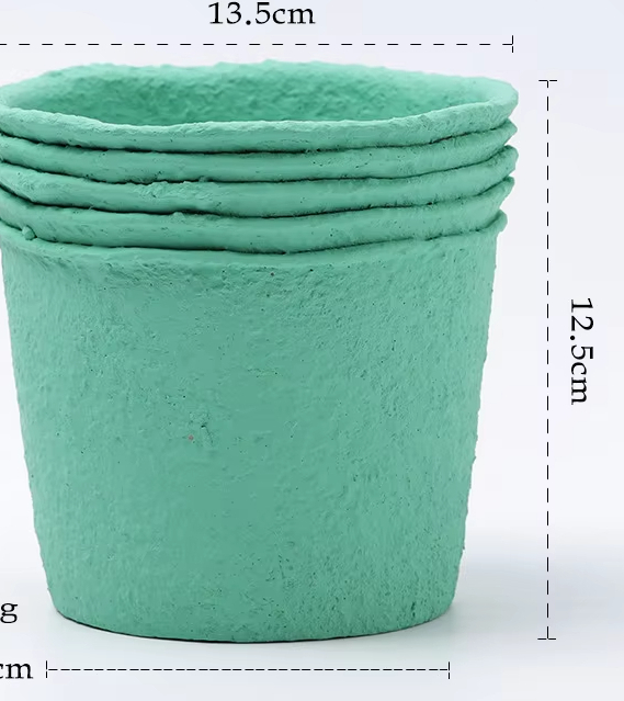 Paper Pulp Mint Green Large Size 13.5cm