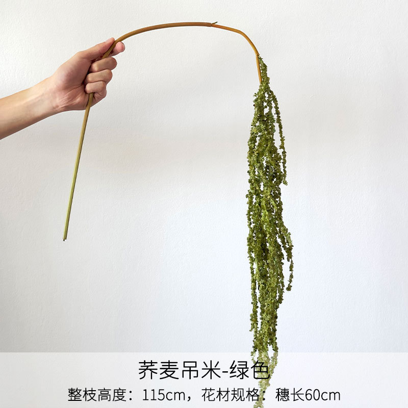 Riz vert au sarrasin