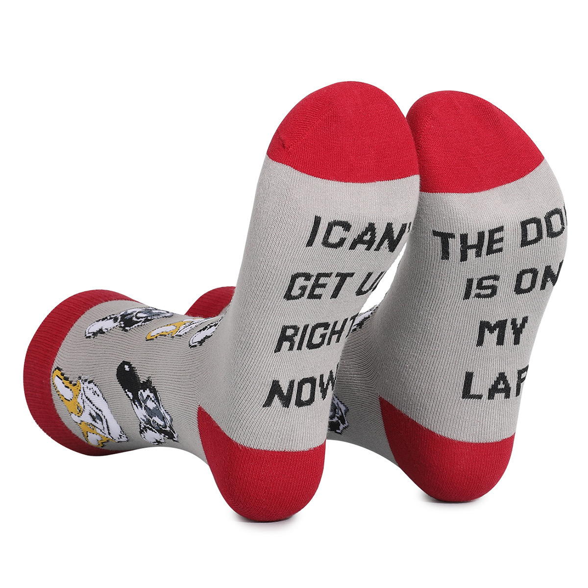 Gray-red dog