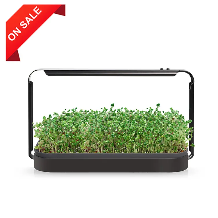 Petite jardinière d'intérieur pour la maison, système de culture hydroponique des légumes, kit de culture microgreen