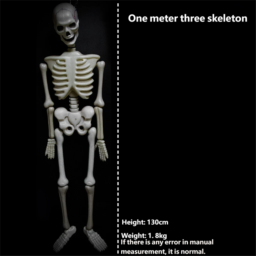 esqueleto de 130 cm