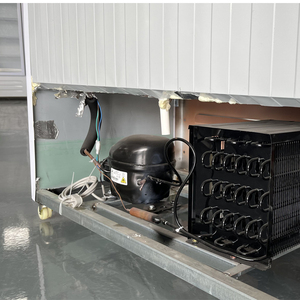 New Design Factory <strong>Price</strong> Frigidaire Double Door pepsi Fridge Frezzer Commercial Freezer <strong>2</strong> Dors Refrigerator air Cooled <strong>Chiller</strong>