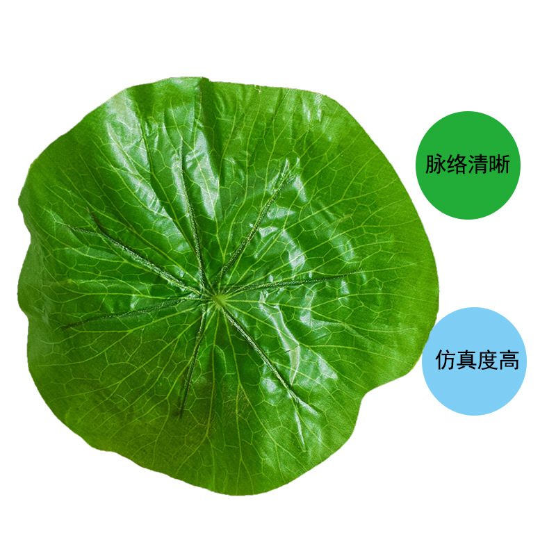 25cm lotus leaf