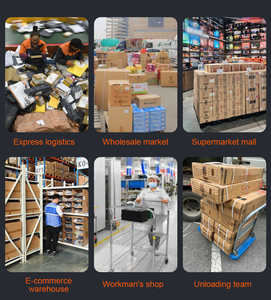 Sistemas de transporte automatizados OEM Transportadores extensibles y flexibles para clasificación logística de manipulación de materiales - Product Image 6