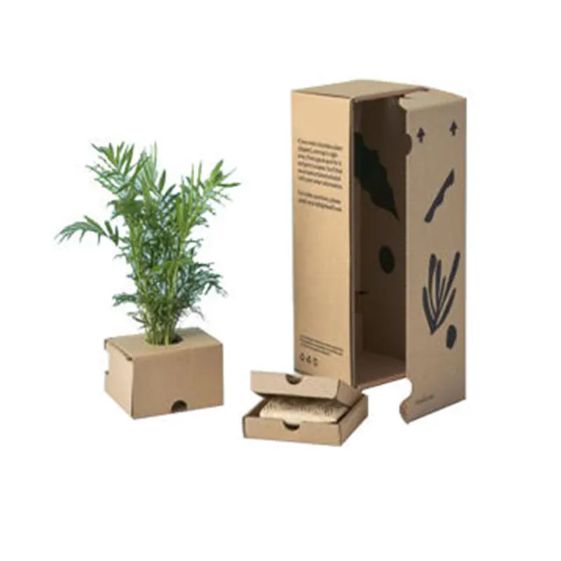 Emballage en carton à impression personnalisée, boîte d'expédition de plantes en pot succulentes vivantes de cactus découpés à l'emporte-pièce, boîtes en carton pour plantes