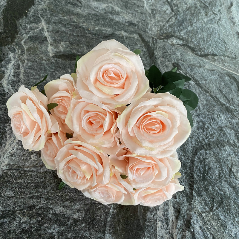 Rosa scuro