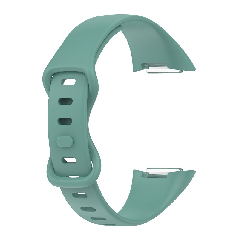 Aiguille de pin vert
