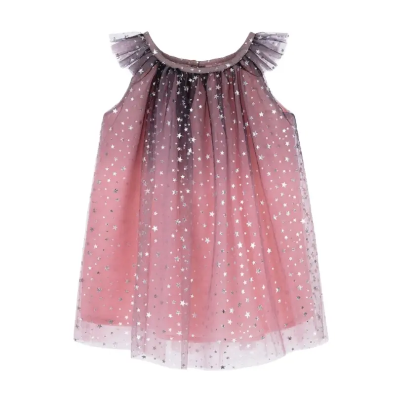 Nuovo arrivo bellissimo vestito tutù abbigliamento per bambini principessa Costume lungo stella rosa Sliver maglia Tutu abiti per ragazze bambini