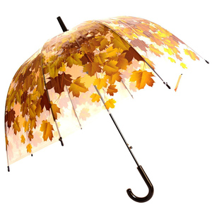 自动开启防雨摄影透明雨伞带树叶长柄泡泡直杆雨伞
