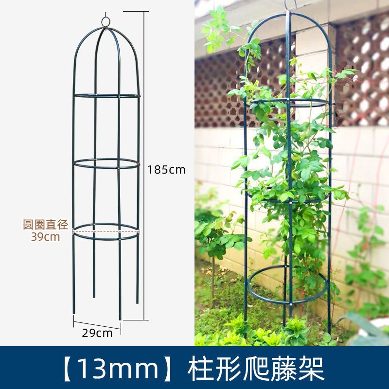 The columnar climbing trellis is 185cm high.