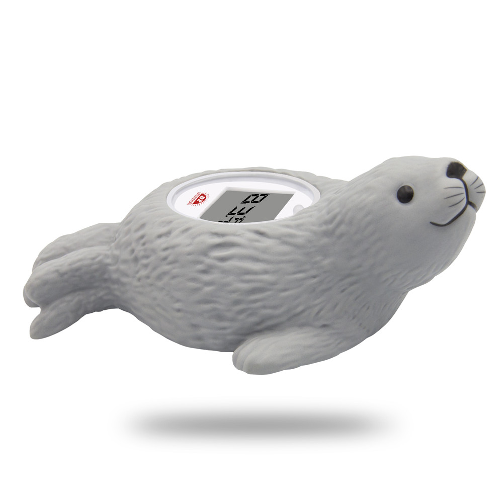 Grey Seal