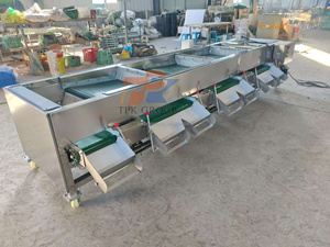 Automatic Fruit <strong>Classifier</strong> Machine Fresh Blueberry Sorting Machine Blueberry Grading Sorting Machine - Product Image 3