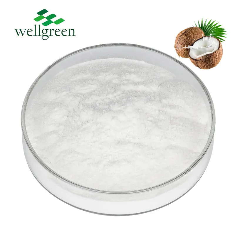Wellgreen 100% poudre de lait de noix de coco naturelle poudre de jus de noix de coco instantanée