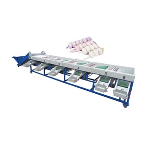 Máquina clasificadora rotativa de tambor automático, máquina clasificadora de clasificación de tamaño de ajo, máquina clasificadora de tamaño de ajo