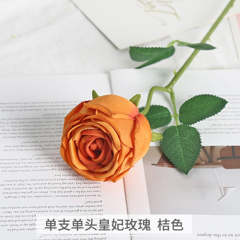 เจ้าหญิงหัวเดี่ยวสีส้มกุหลาบ