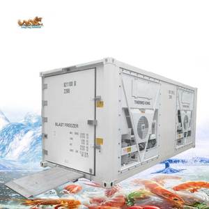 Verimlilik hızlı donma hassas soğutma çok soğutucu 20ft 20 Feet 20 Blast soğutuculu konteyner - Product Image 1