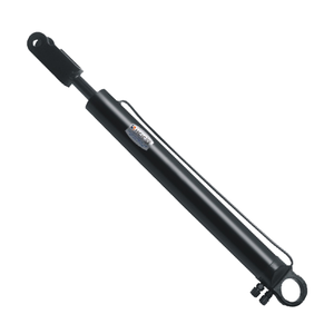 Cilindro idraulico personalizzato a doppio effetto per camion dei rifiuti 3000 PSI 10 Ton di capacità con compatibilità telecomando - Product Image 6