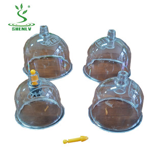 Set bekam vakum akupuntur, toples cangkir hisap, set bekam vakum terapi plastik untuk pijat - Product Image 1