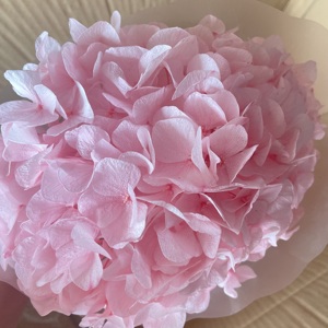 באיכות גבוהה <span class=keywords><strong>hydrangeas</strong></span> גדול מיובש תינוק ורוד סגול לבן ירוק כחול גדול הידראנגאה פרחים hydangea
