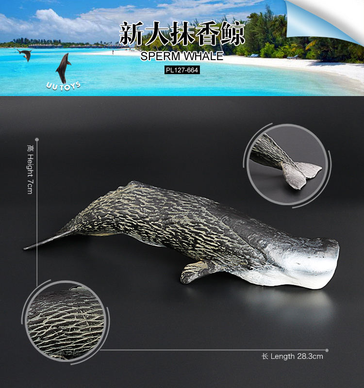 664 Baleine à sperme