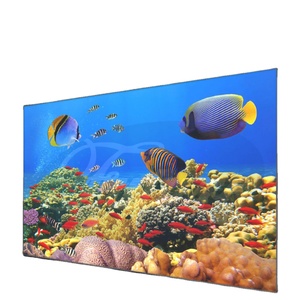 เฟรสเนลพีวีซียาว100นิ้วสำหรับฉายภาพในรูปแบบ16:9 - Product Image 1