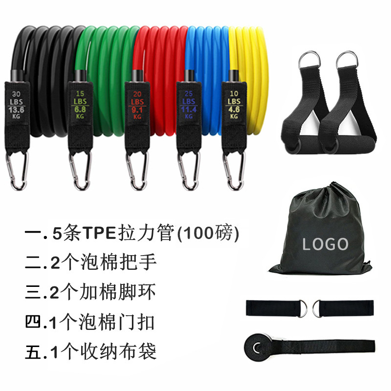 Carabiner 100lb label+storage bag