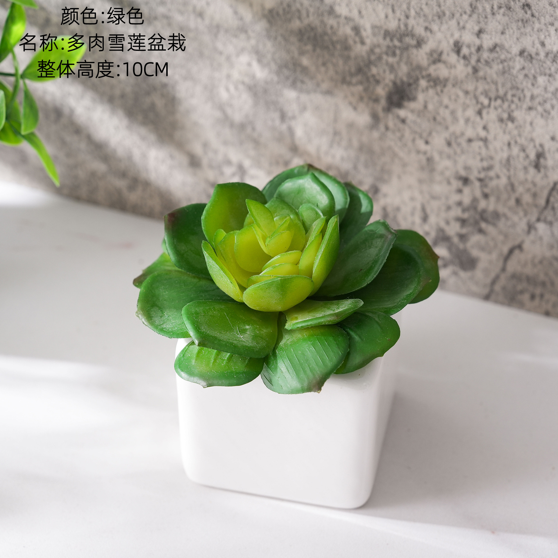 CF02249 Vert