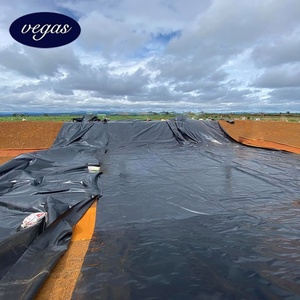 High Density Polyethylene <strong>HDPE</strong> Geomembrane Price Dam Liner Geomembrane <strong>Hdpe</strong> 0.5mm 0.75mm 1.0mm <strong>1.2mm</strong> 1.5mm - Product Image 5