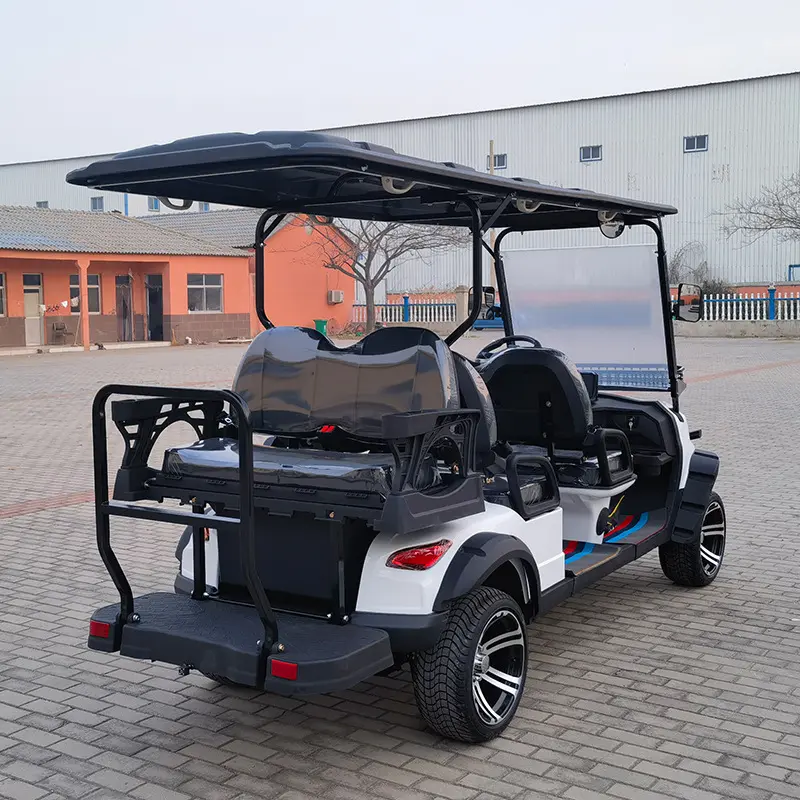 Voiturette de golf électrique de chariot à buggy de mini voiture de véhicule de nouvelle énergie à vendre