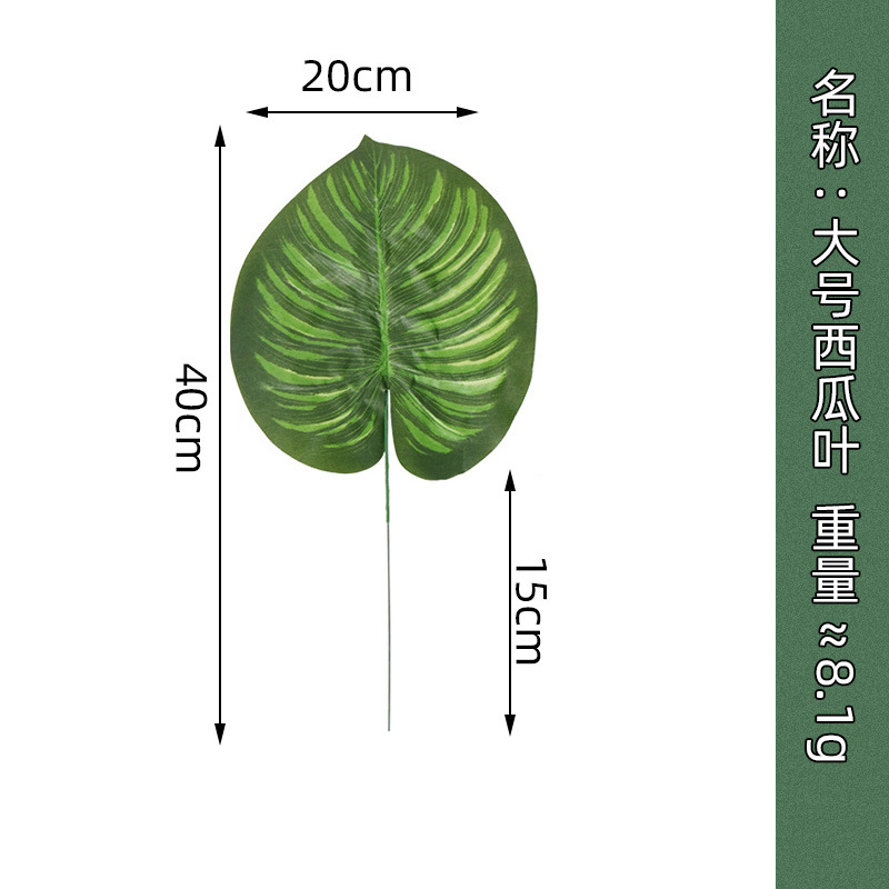 Large watermelon leaf