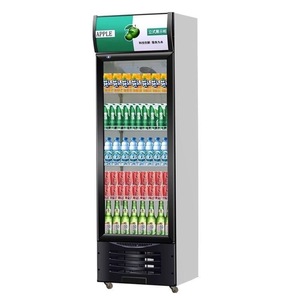 Single-Temperature Thermostat Freezer Butchery Equipment Cabinet with Vertical Glass Door <strong>Computer</strong> Medicine Storage - Product Image 2