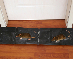 Büyük fare jel tutkal yok öldür battaniye fare kapanı sıçan yapışkan Mat Mouse Pad yapışkan fare fare kapanları Humane tutkal tuzakları fareler - Product Image 5