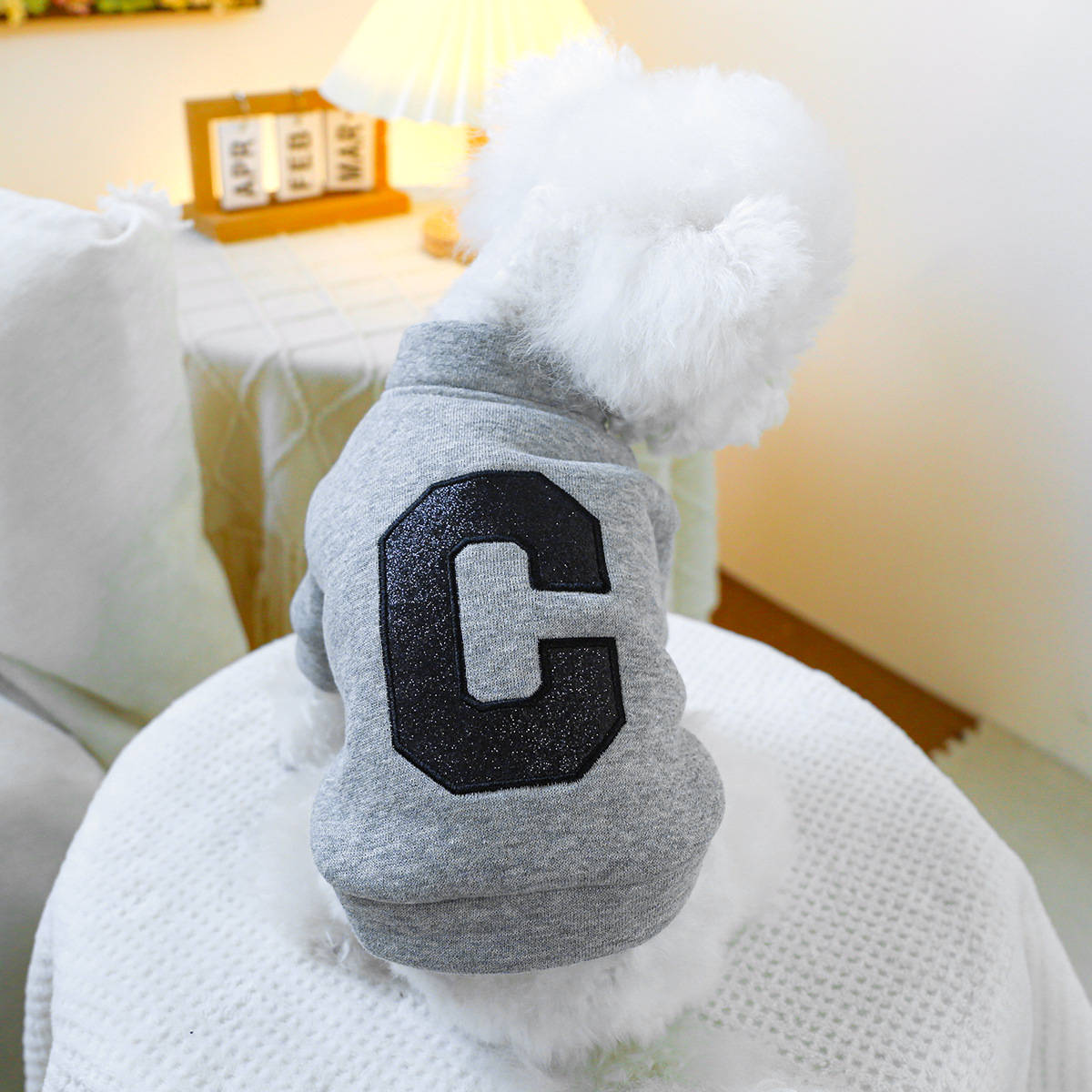 Letter C Hoodie - Gray Body