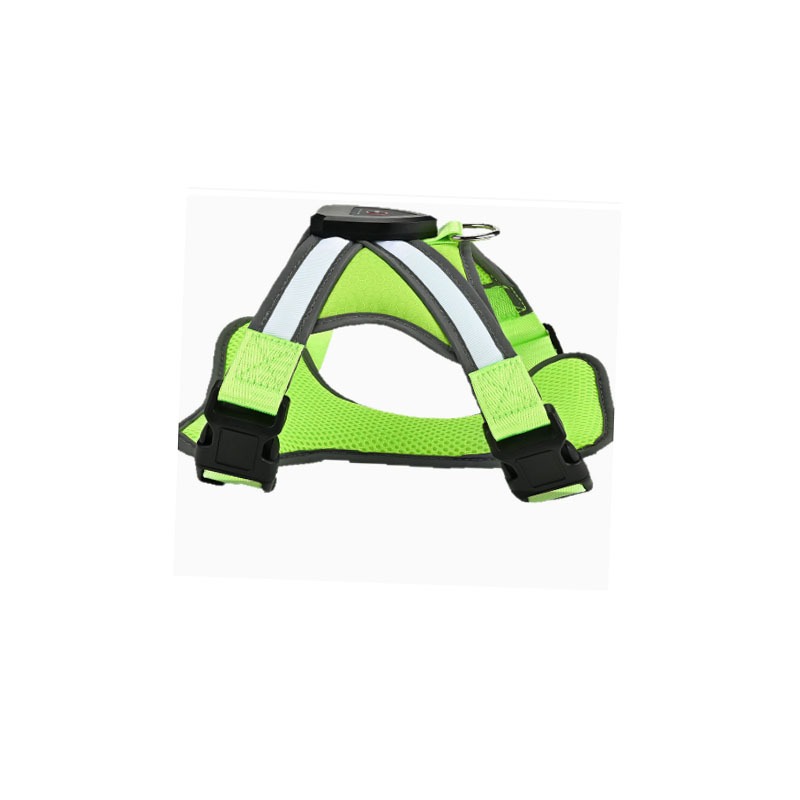 Fluorescent Green