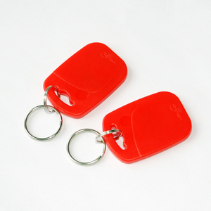 125กิโลเฮิร์ตซ์อ่านเพียง Keyfob EM4200 RFID Keytag/key Fob/ พวงกุญแจสำหรับล็อคประตู - Product Image 3