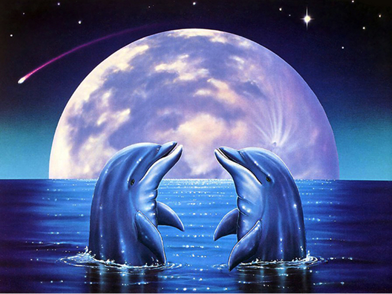 BLU-DW305
