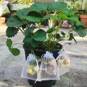 Bolsas de protección de frutas de gran oferta, bolsa verde de malla de protección de árboles frutales con cordón para plantas, frutas, flores y verduras - Product Image 5