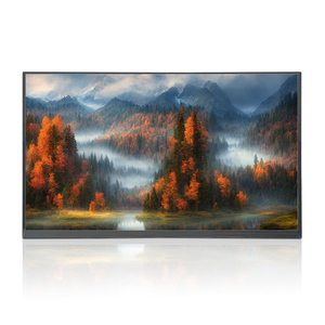 Display LCD ad alta luminosità da 13.3 pollici con interfaccia modello LCD TFT 300cd - Product Image 1